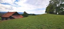 Annonce Vente Terrain Scientrier