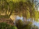 Land CHERISY 