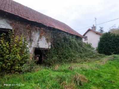 photo For sale House NAVES 19