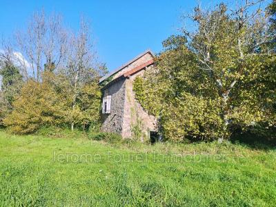 For sale House NAVES 