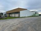 Commercial office LUSSAC-LES-CHATEAUX 
