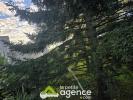 Annonce Vente 10 pièces Maison Dun-sur-auron