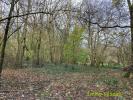 Annonce Vente Terrain Boissy-le-chatel