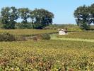 House BLAIGNAN Prignac