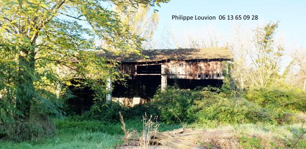 photo For sale House DURAS 47