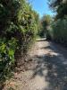 Vente Terrain Saint-andre-de-sangonis 34
