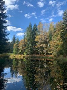 photo For sale Land FAUCOGNEY-ET-LA-MER 70
