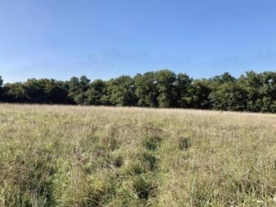 photo For sale Land BOULIAC 33