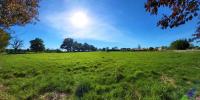 Acheter Terrain Balbigny Loire