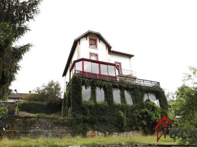 photo For sale Prestigious house FONTENOY-LE-CHATEAU 88