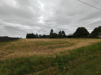 photo For sale Land SELOMMES 41