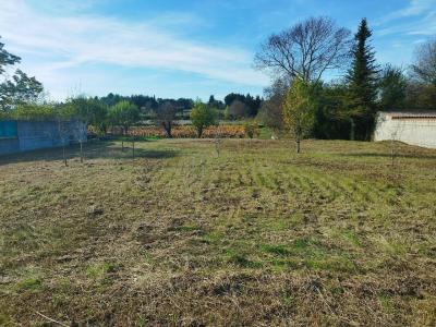 Vente Terrain FABREGUES  34