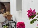 Annonce Vente 5 pièces Maison Longeville-sur-mer