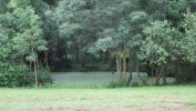 Land JONCHERE 