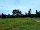 Annonce Vente Terrain Hochfelden