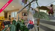 House SEGRE 