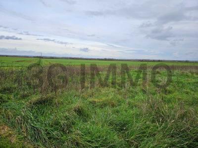 photo For sale Land CHERVES 86
