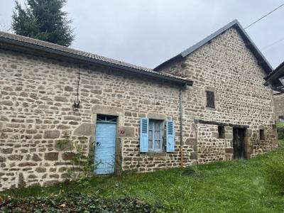 photo For sale House FELLETIN 23