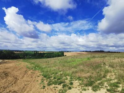 For sale Land LEVIGNAC  31