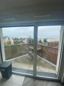 For rent Apartment SCHILTIGHEIM 
