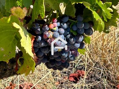 Vente Maison 5 pièces CARCASSONNE 11000