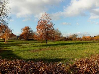 Vente Terrain SANVIGNES-LES-MINES  71