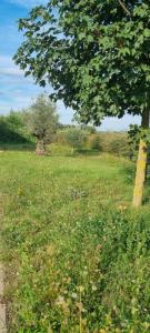 photo For sale Land SAINT-DONAT-SUR-L'HERBASSE 26