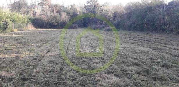 Vente Terrain OFFRETHUN  62