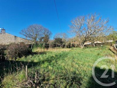 photo For sale Land QUEYRAC 33