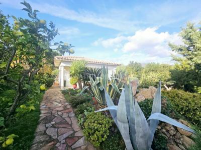 photo For sale House SOLARO 20