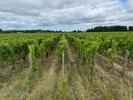 Vente Domaine agricole Saint-estephe 33