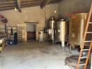 Acheter Domaine agricole 3400 m2 Saint-estephe