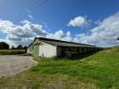 Acheter Commerce 1000 m2 Languidic