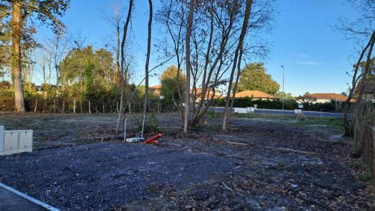 photo For sale Land TOSSE 40