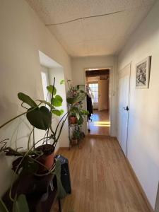 Vente Maison REVEL 