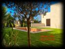 Acheter Maison Saint-christol-les-ales 425000 euros