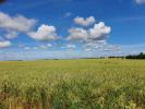 For sale Land Angliers  86330