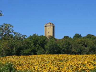 Vente Maison 5 pièces BASSOUES 32320