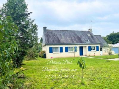 photo For sale House PLUHERLIN 56