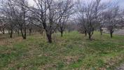 Vente Terrain Marges 26