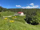 For sale House Pesse 39370 330 m2 7 rooms