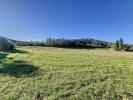 Land MONEIN 