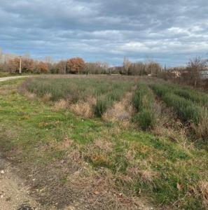 photo For sale Land PUYGIRON 26