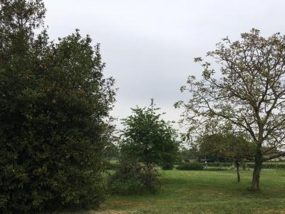 photo For sale Land LALANDE-DE-POMEROL 33