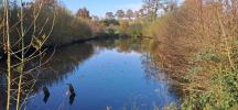 For sale Land Laval 53000 9981 m2