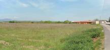 Annonce Vente Terrain Auberives-sur-vareze