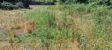 For sale Land Moirans  38430 592 m2