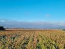 Acheter Terrain 373 m2 Beaurepaire