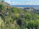 Annonce Vente Terrain Saint-denis