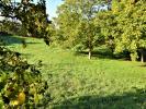 Acheter Terrain Saint-medard-en-forez 124500 euros